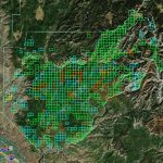 Boise Gold Map